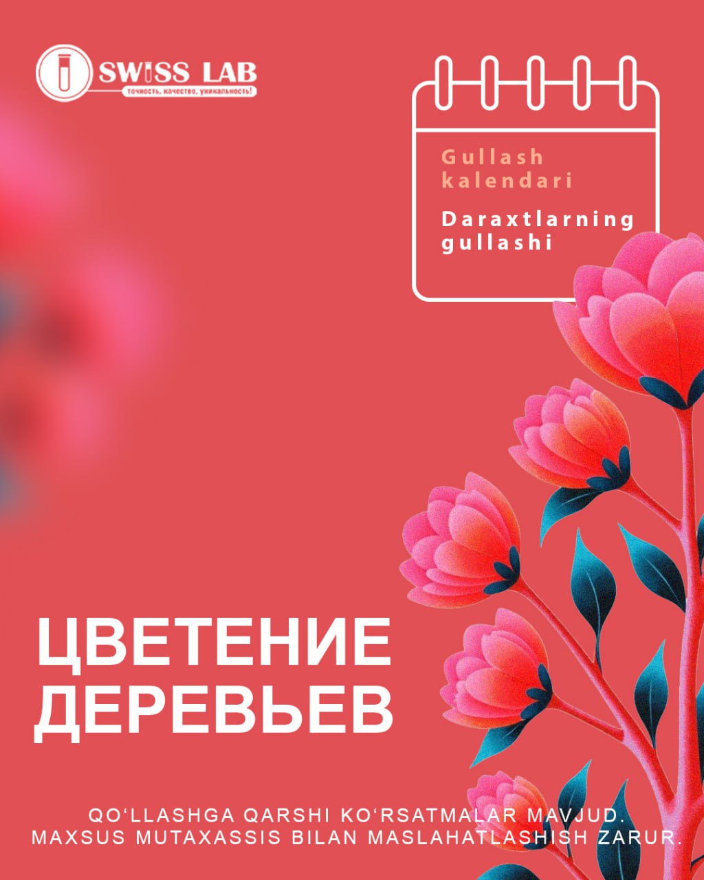 Цветение деревьев
